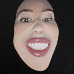 Alcrylic - The smile in the back seat